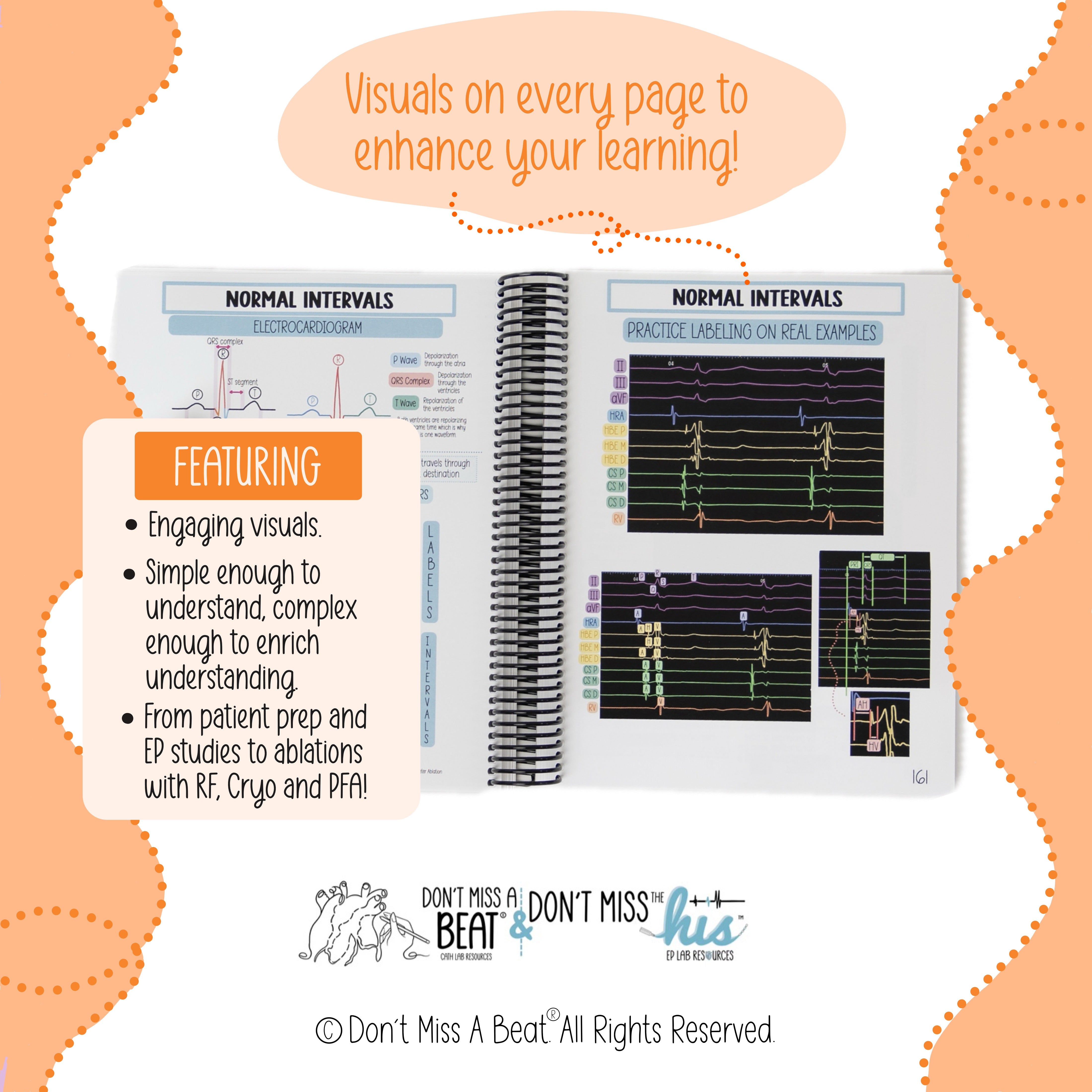 The EP Lab Visual Orientation Manual